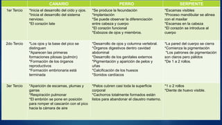 CANARIO PERRO SERPIENTE
1er Tercio *Inicia el desarrollo del oído y ojos.
*Inicia el desarrollo del sistema
nervioso.
*El corazón late
*Se produce la fecundación
*Implantación
*Se puede observar la diferenciación
entre cabeza y cuerpo
*El corazón funcional
*Esbozos de ojos y miembros.
*Escamas visibles
*Proceso mandibular se alinea
con el maxilar
*Escamas en la cabeza
*El corazón se introduce al
cuerpo
2do Tercio *Los ojos y la base del pico se
distinguen
*Aparecen las primeras
formaciones pilosas (pulmón)
*Formación de los órganos
reproductivos
*Formación embrionaria está
terminada
*Desarrollo de ojos y columna vertebral.
*Órganos digestivos dentro cavidad
abdominal
*Desarrollo de los genitales externos
*Pigmentación y aparición de pelos y
uñas
*Calcificación de los huesos
*Sonidos cardíacos
*La pared del cuerpo se cierra
*Comienza la pigmentación
*Los patrones de pigmentación
son claros pero pálidos
*De 1 a 2 rollos.
3er Tercio *Aparición de escamas, plumas y
garras
*Respiración pulmonar
*El embrión se pone en posición
para romper el cascarón con el pico
hacia la cámara de aire
*Pelos cubren casi toda la superficie
corporal
*Cachorros totalmente formados están
listos para abandonar el claustro materno.
*1 o 2 rollos
*Diente de huevo visible.
 