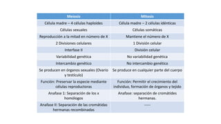 Meiosis Mitosis
Célula madre – 4 células haploides Célula madre – 2 células idénticas
Células sexuales Células somáticas
Reproducción a la mitad en número de X Mantiene el número de X
2 Divisiones celulares 1 División celular
Interfase II División celular
Variabilidad genética No variabilidad genética
Intercambio genético No intercambio genético
Se producen en órganos sexuales (Ovario
y testículo)
Se produce en cualquier parte del cuerpo
Función: Preservar la especie mediante
células reproductoras
Función: Permitir el crecimiento del
individuo, formación de órganos y tejido
Anafase 1: Separación de los x
homólogos
Anafase: separación de cromátides
hermanas.
Anafase II: Separación de las cromátidas
hermanas recombinadas
-----
 
