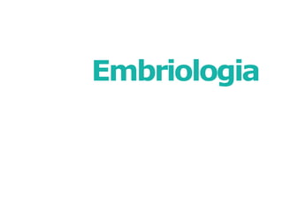 Embriologia
