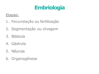 Embriologia
Etapas:
1. Fecundação ou fertilização
2. Segmentação ou clivagem
3. Blástula
4. Gástrula
5. Nêurula
6. Organogênese