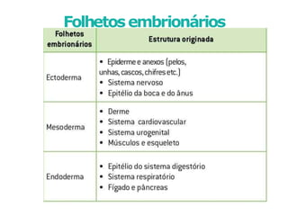 Folhetosembrionários