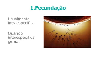 Usualmente
intraespecífica
Quando
interespecífica
gera...
1.Fecundação