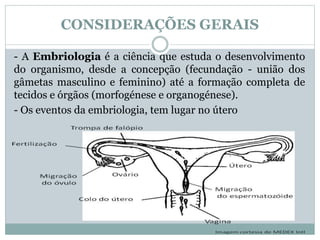 CONSIDERAÇÕES GERAIS
- A Embriologia é a ciência que estuda o desenvolvimento
do organismo, desde a concepção (fecundação - união dos
gâmetas masculino e feminino) até a formação completa de
tecidos e órgãos (morfogénese e organogénese).
- Os eventos da embriologia, tem lugar no útero
 
