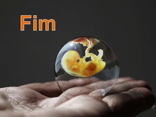 Anexos Embrionários - Embriologia