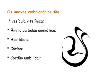 Os anexos embrionários são:
* vesícula vitelínica;
* Âmnio ou bolsa amniótica;
* Alantóide;
* Córion;
* Cordão umbilical;