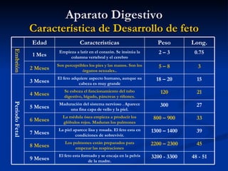 Aparato DigestivoAparato Digestivo
Característica de Desarrollo de fetoCaracterística de Desarrollo de feto
48 - 51
45
39
33
27
21
15
3
0.75
Long.
El feto esta formado y se encaja en la pelvis
de la madre.
Los pulmones están preparados para
empezar las respiraciones
La piel aparece lisa y rosada. El feto esta en
condiciones de sobrevivir.
La médula ósea empieza a producir los
glóbulos rojos. Maduran los pulmones
Maduración del sistema nervioso . Aparece
una fina capa de vello y la piel.
Se esboza el funcionamiento del tubo
digestivo, hígado, páncreas y riñones.
El feto adquiere aspecto humano, aunque su
cabeza es muy grande
Son perceptibles los pies y las manos. Son los
órganos sexuales..
Empieza a latir en el corazón. Se insinúa la
columna vertebral y el cerebro
Características
9 Meses
8 Meses
7 Meses
6 Meses
5 Meses
4 Meses
3 Meses
2 Meses
1 Mes
Edad
3200 - 3300
2200 – 2300
1300 – 1400
800 – 900
300
120
18 – 20
PeriodoFetal
5 – 8
2 – 3
Embrión
Peso
 