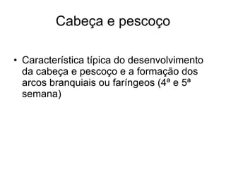 Cabeça e pescoço Característica típica do desenvolvimento da cabeça e pescoço e a formação dos arcos branquiais ou faríngeos (4ª e 5ª semana) 