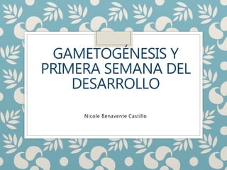 GAMETOGÉNESIS Y
PRIMERA SEMANA DEL
DESARROLLO
Nicole Benavente Castillo
 