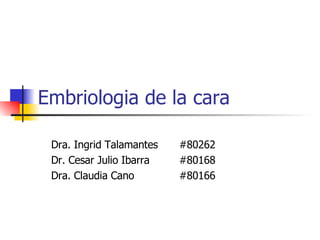 Embriologia de la cara Dra. Ingrid Talamantes  #80262 Dr. Cesar Julio Ibarra  #80168 Dra. Claudia Cano  #80166 