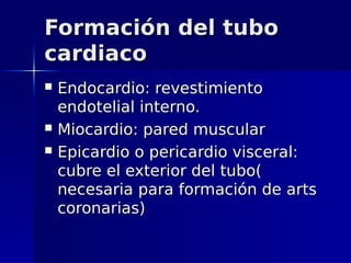 Formación del tubo
cardiaco
   Endocardio: revestimiento
    endotelial interno.
   Miocardio: pared muscular
   Epicardio o pericardio visceral:
    cubre el exterior del tubo(
    necesaria para formación de arts
    coronarias)
 
