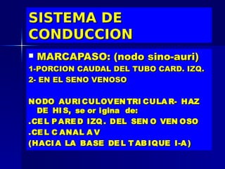 SISTEMA DE
CONDUCCION
   MARCAPASO: (nodo sino-auri)
1-PORCION CAUDAL DEL TUBO CARD. IZQ.
2- EN EL SENO VENOSO

NODO AURI CULOVEN TRI CULA R- HAZ
  DE HI S, se or igina de:
.CE L P ARE D IZQ . DEL SEN O VEN OSO
.CE L C ANAL A V
(HACI A LA BASE DE L T AB IQUE I-A )
 