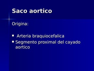Saco aortico

Origina:

    Arteria braquiocefalica
   Segmento proximal del cayado
    aortico
 