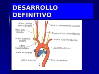 DESARROLLO
DEFINITIVO
 