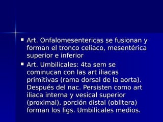    Art. Onfalomesentericas se fusionan y
    forman el tronco celiaco, mesentérica
    superior e inferior
   Art. Umbilicales: 4ta sem se
    cominucan con las art iliacas
    primitivas (rama dorsal de la aorta).
    Después del nac. Persisten como art
    iliaca interna y vesical superior
    (proximal), porción distal (oblitera)
    forman los ligs. Umbilicales medios.
 