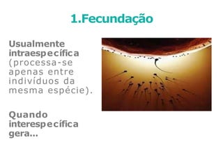 Usualmente
intraespecífica
(processa-se
apenas entre
indivíduos da
mesma espécie).
Quando
interespecífica
gera...
1.Fecundação
 
