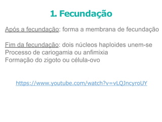 Após a fecundação: forma a membrana de fecundação
Fim da fecundação: dois núcleos haploides unem-se
Processo de cariogamia ou anfimixia
Formação do zigoto ou célula-ovo
https://www.youtube.com/watch?v=vLQJncyroUY
1. Fecundação
 