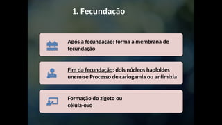 1. Fecundação
Após a fecundação: forma a membrana de
fecundação
Fim da fecundação: dois núcleos haploides
unem-se Processo de cariogamia ou anfimixia
Formação do zigoto ou
célula-ovo
 