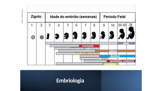 Embriologia
Embriologia
/
Natani
 