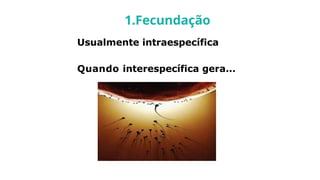 Usualmente intraespecífica
Quando interespecífica gera...
1.Fecundação
 