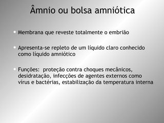 Âmnio ou bolsa amniótica Membrana que reveste totalmente o embrião Apresenta-se repleto de um líquido claro conhecido como líquido amniótico Funções:  proteção contra choques mecânicos, desidratação, infecções de agentes externos como vírus e bactérias, estabilização da temperatura interna 