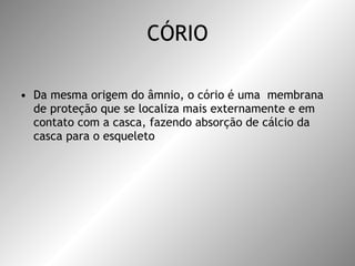 CÓRIO Da mesma origem do âmnio, o cório é uma  membrana de proteção que se localiza mais externamente e em contato com a casca, fazendo absorção de cálcio da casca para o esqueleto  