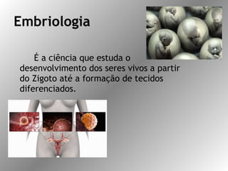 Embriologia É a ciência que estuda o desenvolvimento dos seres vivos a partir do Zigoto até a formação de tecidos diferenciados.  