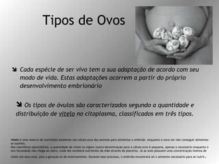 Tipos de Ovos Cada espécie de ser vivo tem a sua adaptação de acordo com seu modo de vida. Estas adaptações ocorrem a partir do próprio desenvolvimento embrionário Os tipos de óvulos são caracterizados segundo a quantidade e distribuição de  vitelo  no citoplasma, classificados em três tipos. vitelo  é uma reserva de nutrientes existente nas célula-ovos dos animais para alimentar o embrião  enquanto o novo ser não conseguir alimentar-se sozinho. Nos mamíferos placentários, a quantidade de vitelo no zigoto (outra denominação para a célula-ovo) é pequena, apenas o necessário enquanto o ovo fecundado não chega ao útero, onde ele receberá nutrientes da mãe através da placenta. Já as aves possuem uma concentração imensa de vitelo em seus ovos, pois a geração se dá externamente. Durante esse processo, o embrião encontrará ali o alimento necessário para se nutrir . 
