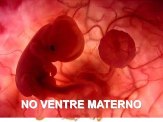 NO VENTRE MATERNOUm feto de poucas semanas encontra-se                                        no interior do útero de sua mãe.