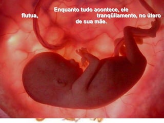 Enquanto tudo acontece, ele flutua,                                       tranqüilamente, no útero de sua mãe.