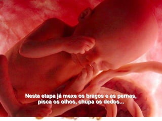 Nesta etapa já mexe os braços e as pernas,                               pisca os olhos, chupa os dedos... 