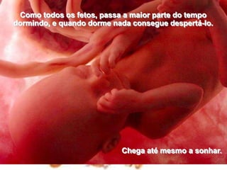 Como todos os fetos, passa a maior parte do tempo dormindo, e quando dorme nada consegue despertá-lo. Chega até mesmo a sonhar.