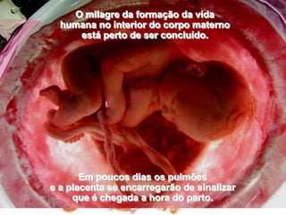 O milagre da formação da vida                                                        humana no interior do corpo materno                                              está perto de ser concluído. Em poucos dias os pulmões                                                                           e a placenta se encarregarão de sinalizar                                              que é chegada a hora do parto.