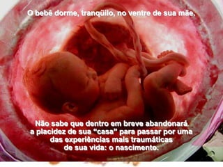 O bebê dorme, tranqüilo, no ventre de sua mãe. Não sabe que dentro em breve abandonará                                             a placidez de sua “casa” para passar por uma                                     das experiências mais traumáticas                                                            de sua vida: o nascimento.