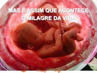 MAS É ASSIM QUE ACONTECEO MILAGRE DA VIDA