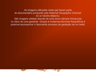 As imagens utilizadas neste pps fazem parte                                                                                 do documentário produzido pelo National Geographic Channel:                                                 En el Vientre Materno.                                                                                                              São imagens obtidas através de uma micro-câmara introduzida                                                no útero de uma gestante. Graças à modernas técnicas fotográficas é                               possível acompanhar o fascinante processo de gestação de um bebê.