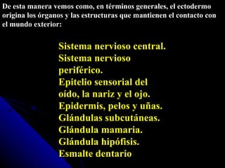 De esta manera vemos como, en términos generales, el ectodermo origina los órganos y las estructuras que mantienen el contacto con el mundo exterior: Sistema nervioso central. Sistema nervioso periférico. Epitelio sensorial del oído, la nariz y el ojo. Epidermis, pelos y uñas. Glándulas subcutáneas. Glándula mamaria. Glándula hipófisis. Esmalte dentario 