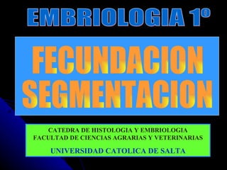 EMBRIOLOGIA 1º FECUNDACION SEGMENTACION CATEDRA DE HISTOLOGIA Y EMBRIOLOGIA FACULTAD DE CIENCIAS AGRARIAS Y VETERINARIAS UNIVERSIDAD CATOLICA DE SALTA 