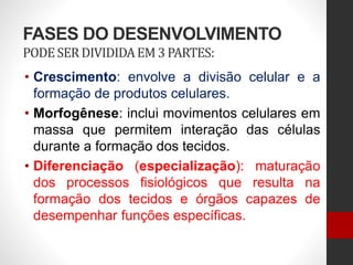 FASES DO DESENVOLVIMENTO
PODESERDIVIDIDAEM 3 PARTES:
• Crescimento: envolve a divisão celular e a
formação de produtos celulares.
• Morfogênese: inclui movimentos celulares em
massa que permitem interação das células
durante a formação dos tecidos.
• Diferenciação (especialização): maturação
dos processos fisiológicos que resulta na
formação dos tecidos e órgãos capazes de
desempenhar funções específicas.
 