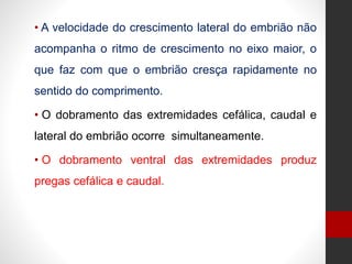 • A velocidade do crescimento lateral do embrião não
acompanha o ritmo de crescimento no eixo maior, o
que faz com que o embrião cresça rapidamente no
sentido do comprimento.
• O dobramento das extremidades cefálica, caudal e
lateral do embrião ocorre simultaneamente.
• O dobramento ventral das extremidades produz
pregas cefálica e caudal.
 