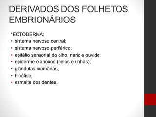 DERIVADOS DOS FOLHETOS
EMBRIONÁRIOS
*ECTODERMA:
• sistema nervoso central;
• sistema nervoso periférico;
• epitélio sensorial do olho, nariz e ouvido;
• epiderme e anexos (pelos e unhas);
• glândulas mamárias;
• hipófise;
• esmalte dos dentes.
 