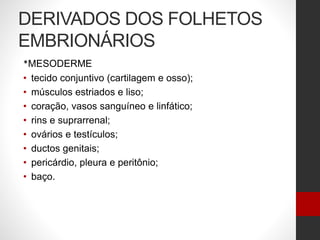 DERIVADOS DOS FOLHETOS
EMBRIONÁRIOS
*MESODERME
• tecido conjuntivo (cartilagem e osso);
• músculos estriados e liso;
• coração, vasos sanguíneo e linfático;
• rins e suprarrenal;
• ovários e testículos;
• ductos genitais;
• pericárdio, pleura e peritônio;
• baço.
 
