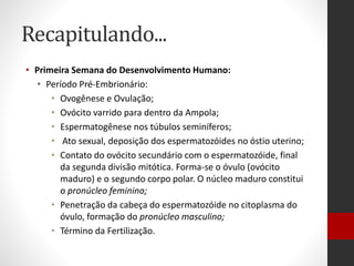 Recapitulando...
• Primeira Semana do Desenvolvimento Humano:
• Período Pré-Embrionário:
• Ovogênese e Ovulação;
• Ovócito varrido para dentro da Ampola;
• Espermatogênese nos túbulos seminíferos;
• Ato sexual, deposição dos espermatozóides no óstio uterino;
• Contato do ovócito secundário com o espermatozóide, final
da segunda divisão mitótica. Forma-se o óvulo (ovócito
maduro) e o segundo corpo polar. O núcleo maduro constitui
o pronúcleo feminino;
• Penetração da cabeça do espermatozóide no citoplasma do
óvulo, formação do pronúcleo masculino;
• Término da Fertilização.
 