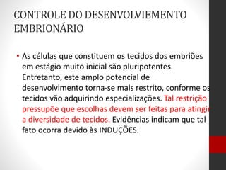 CONTROLE DO DESENVOLVIEMENTO
EMBRIONÁRIO
• As células que constituem os tecidos dos embriões
em estágio muito inicial são pluripotentes.
Entretanto, este amplo potencial de
desenvolvimento torna-se mais restrito, conforme os
tecidos vão adquirindo especializações. Tal restrição
pressupõe que escolhas devem ser feitas para atingir
a diversidade de tecidos. Evidências indicam que tal
fato ocorra devido às INDUÇÕES.
 