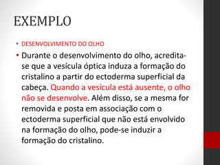 EXEMPLO
• DESENVOLVIMENTO DO OLHO
• Durante o desenvolvimento do olho, acredita-
se que a vesícula óptica induza a formação do
cristalino a partir do ectoderma superficial da
cabeça. Quando a vesícula está ausente, o olho
não se desenvolve. Além disso, se a mesma for
removida e posta em associação com o
ectoderma superficial que não está envolvido
na formação do olho, pode-se induzir a
formação do cristalino.
 