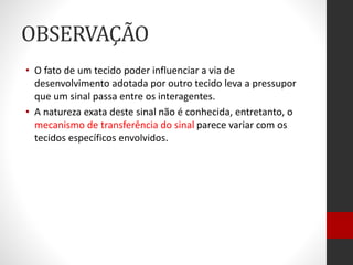 OBSERVAÇÃO
• O fato de um tecido poder influenciar a via de
desenvolvimento adotada por outro tecido leva a pressupor
que um sinal passa entre os interagentes.
• A natureza exata deste sinal não é conhecida, entretanto, o
mecanismo de transferência do sinal parece variar com os
tecidos específicos envolvidos.
 