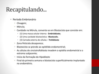 Recapitulando...
• Período Embrionário
• Clivagem;
• Mórula;
• Cavidade na Mórula, converte-se em Blastocisto que consiste em:
• (1) Uma massa celular interna - Embrioblasto;
• (2) Uma cavidade blastocística - Blastocele;
• (3) Camada externa de células – Trofoblasto
• Zona Pelúcida desaparece;
• Blastocisto se prende ao epitélido endomentrial;
• As células do sinciotrofoblasto invadem o epitélio endometrial e o
estroma subjacente;
• Início da formação do Hipoblasto
• Final da primeira semana e blastocisto superficialmente implantado
no endométrio.
 