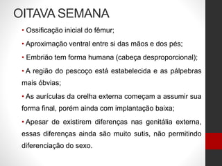 OITAVA SEMANA
• Ossificação inicial do fêmur;
• Aproximação ventral entre si das mãos e dos pés;
• Embrião tem forma humana (cabeça desproporcional);
• A região do pescoço está estabelecida e as pálpebras
mais óbvias;
• As aurículas da orelha externa começam a assumir sua
forma final, porém ainda com implantação baixa;
• Apesar de existirem diferenças nas genitália externa,
essas diferenças ainda são muito sutis, não permitindo
diferenciação do sexo.
 