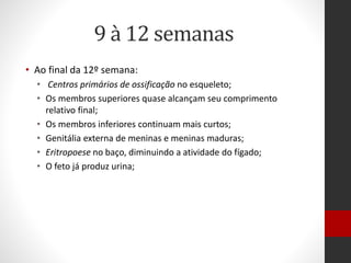 9 à 12 semanas
• Ao final da 12º semana:
• Centros primários de ossificação no esqueleto;
• Os membros superiores quase alcançam seu comprimento
relativo final;
• Os membros inferiores continuam mais curtos;
• Genitália externa de meninas e meninas maduras;
• Eritropoese no baço, diminuindo a atividade do fígado;
• O feto já produz urina;
 