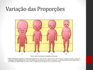 Variação das Proporções
 