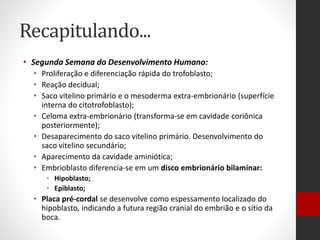 Recapitulando...
• Segunda Semana do Desenvolvimento Humano:
• Proliferação e diferenciação rápida do trofoblasto;
• Reação decidual;
• Saco vitelino primário e o mesoderma extra-embrionário (superfície
interna do citotrofoblasto);
• Celoma extra-embrionário (transforma-se em cavidade coriônica
posteriormente);
• Desaparecimento do saco vitelino primário. Desenvolvimento do
saco vitelino secundário;
• Aparecimento da cavidade aminiótica;
• Embrioblasto diferencia-se em um disco embrionário bilaminar:
• Hipoblasto;
• Epiblasto;
• Placa pré-cordal se desenvolve como espessamento localizado do
hipoblasto, indicando a futura região cranial do embrião e o sítio da
boca.
 